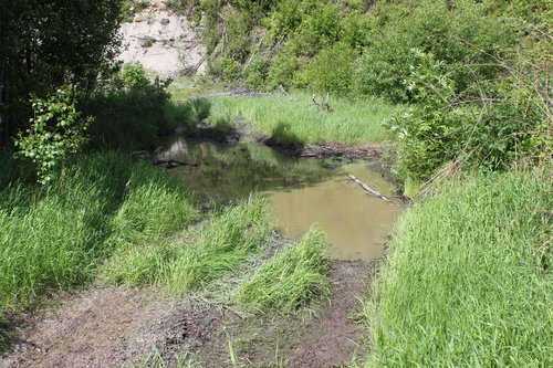 Porsgrund 025.JPG