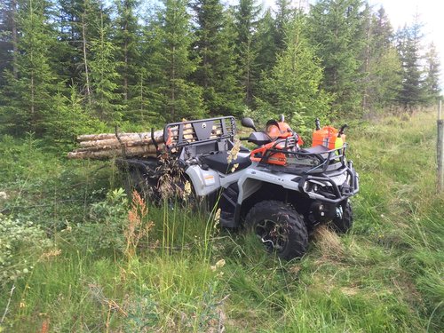 IMG_0311 (Medium).JPG (230.22 KiB) Vist 17583 ganger IMG_0311 (Medium).JPG