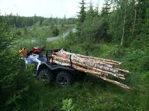 IMG_0315 (Medium).JPG (174.19 KiB) Vist 24646 ganger IMG_0315 (Medium).JPG