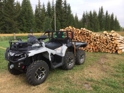 IMG_0341 (Mobile).JPG