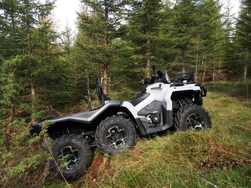 IMG_0375 (Medium).JPG (382.92 KiB) Vist 24638 ganger IMG_0375 (Medium).JPG